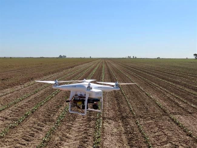 Teledetecció agrícola: drons