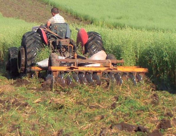 Destruction d’engrais verts avec différentes machines