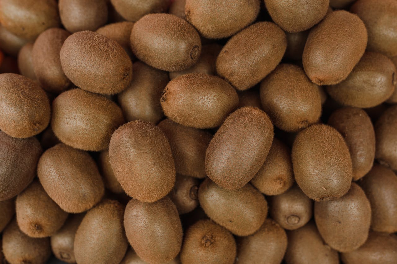 Coltura Kiwi senza soglio
