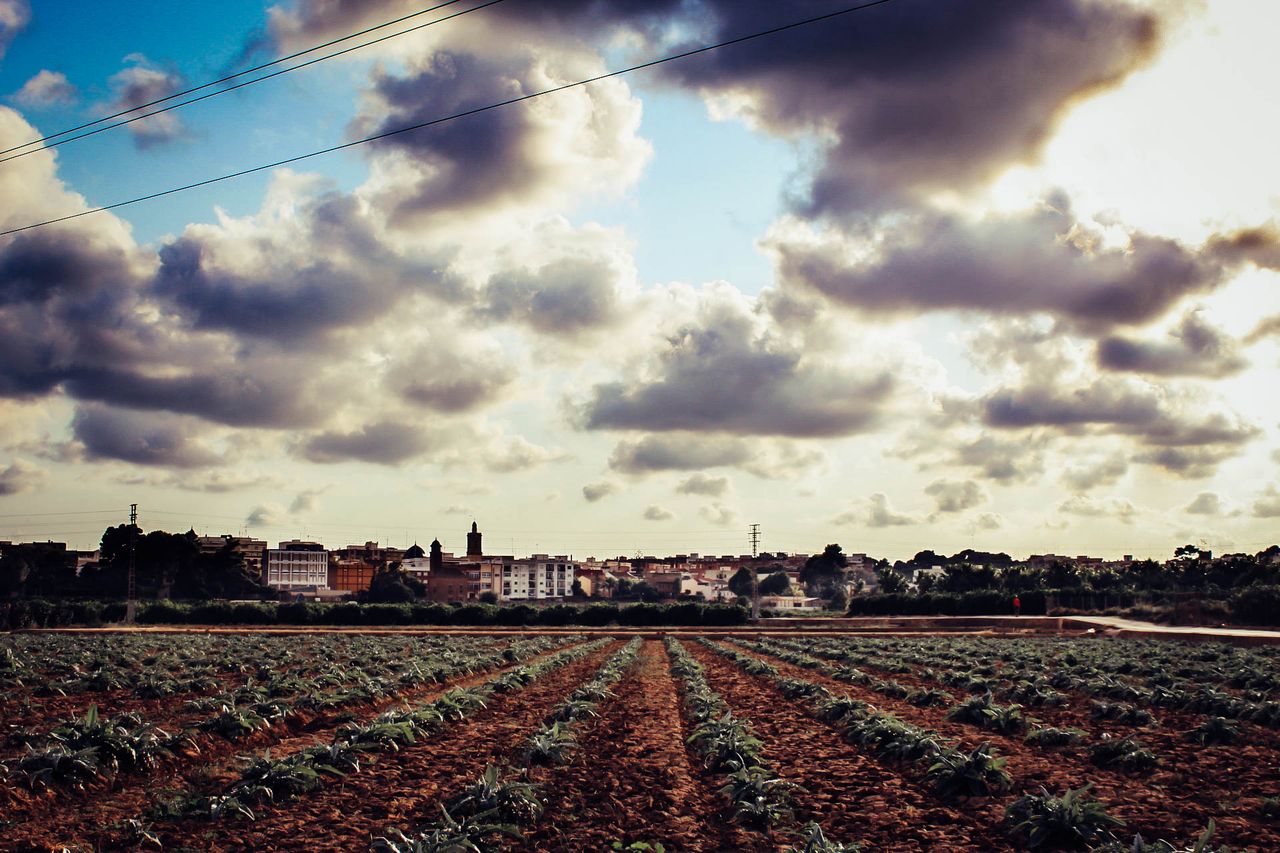 Agricultura dins d’una regió metropolitana