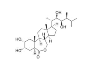 brassinolide brassinolide